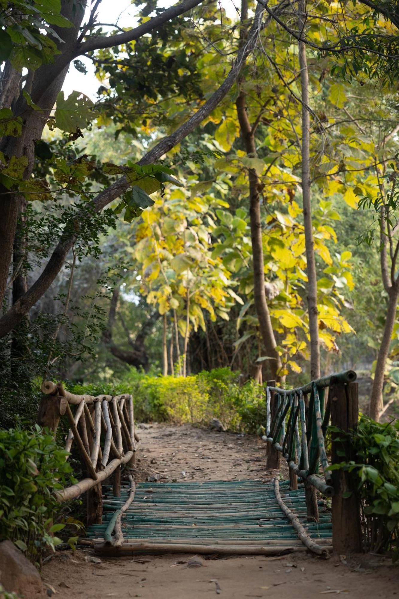 Tāla Tiger Trails Resort מראה חיצוני תמונה