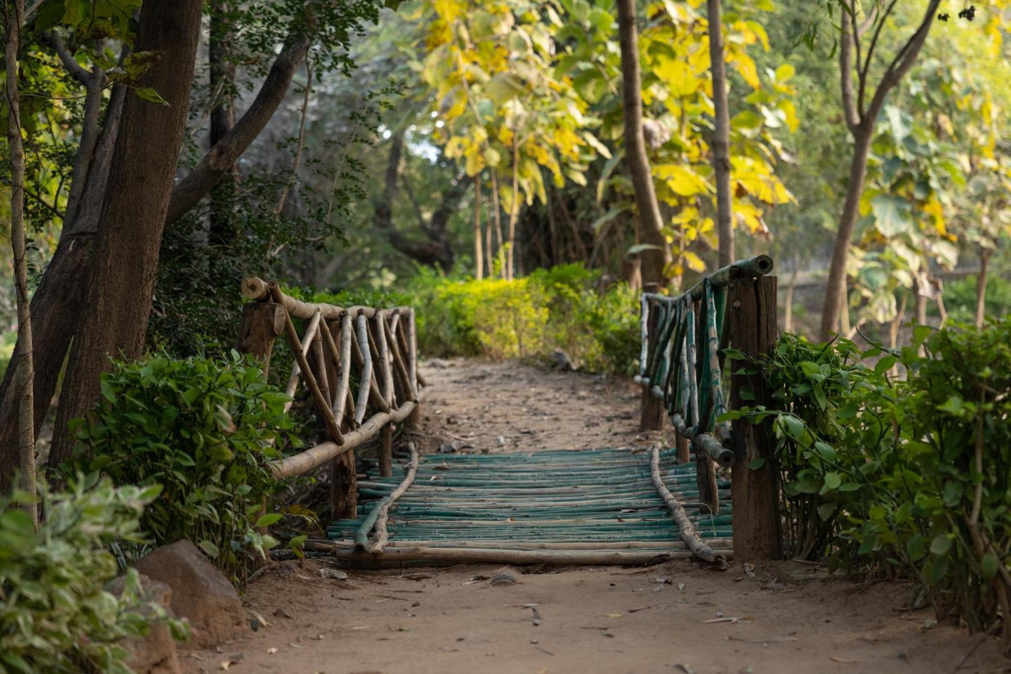 Tāla Tiger Trails Resort מראה חיצוני תמונה