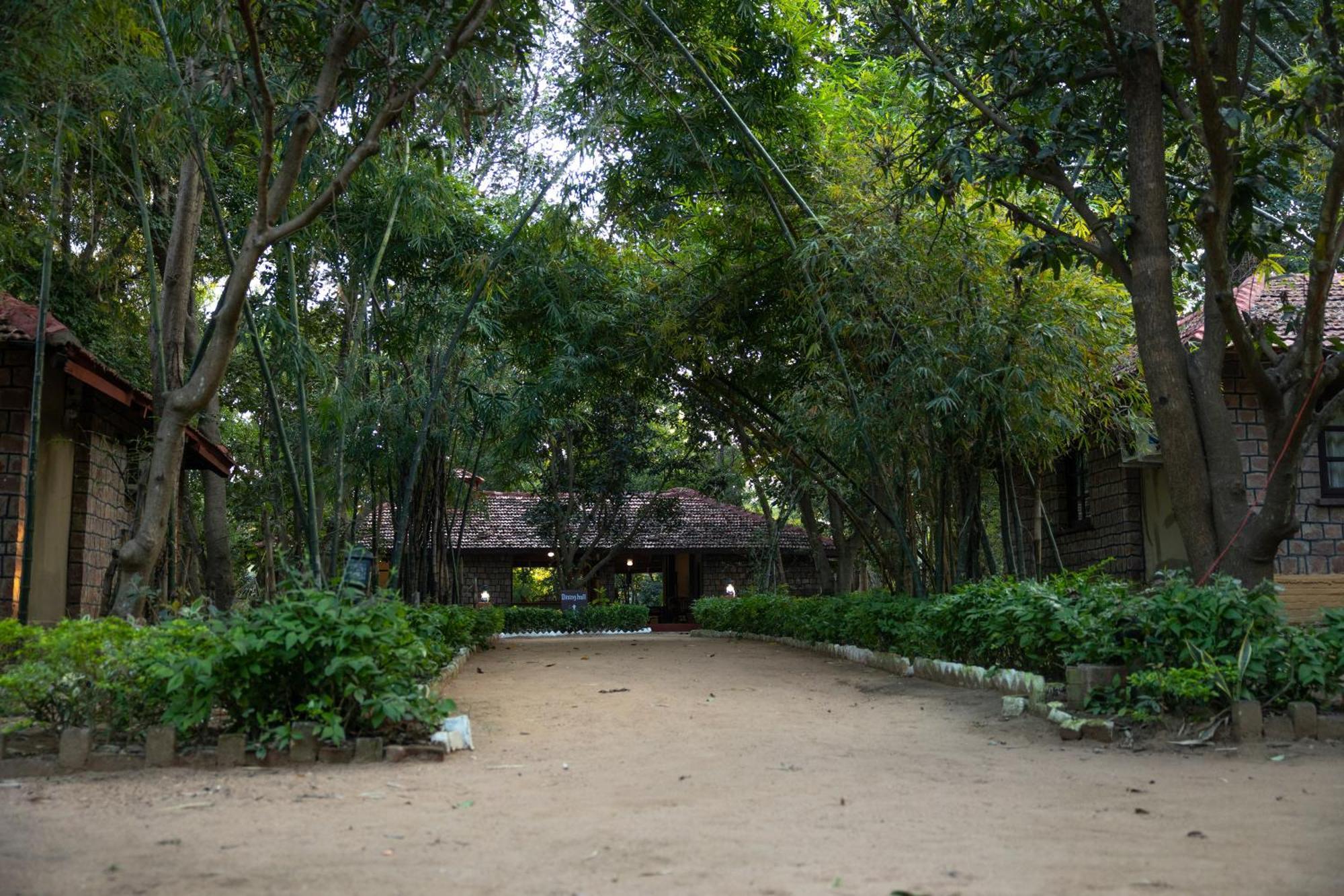 Tāla Tiger Trails Resort מראה חיצוני תמונה
