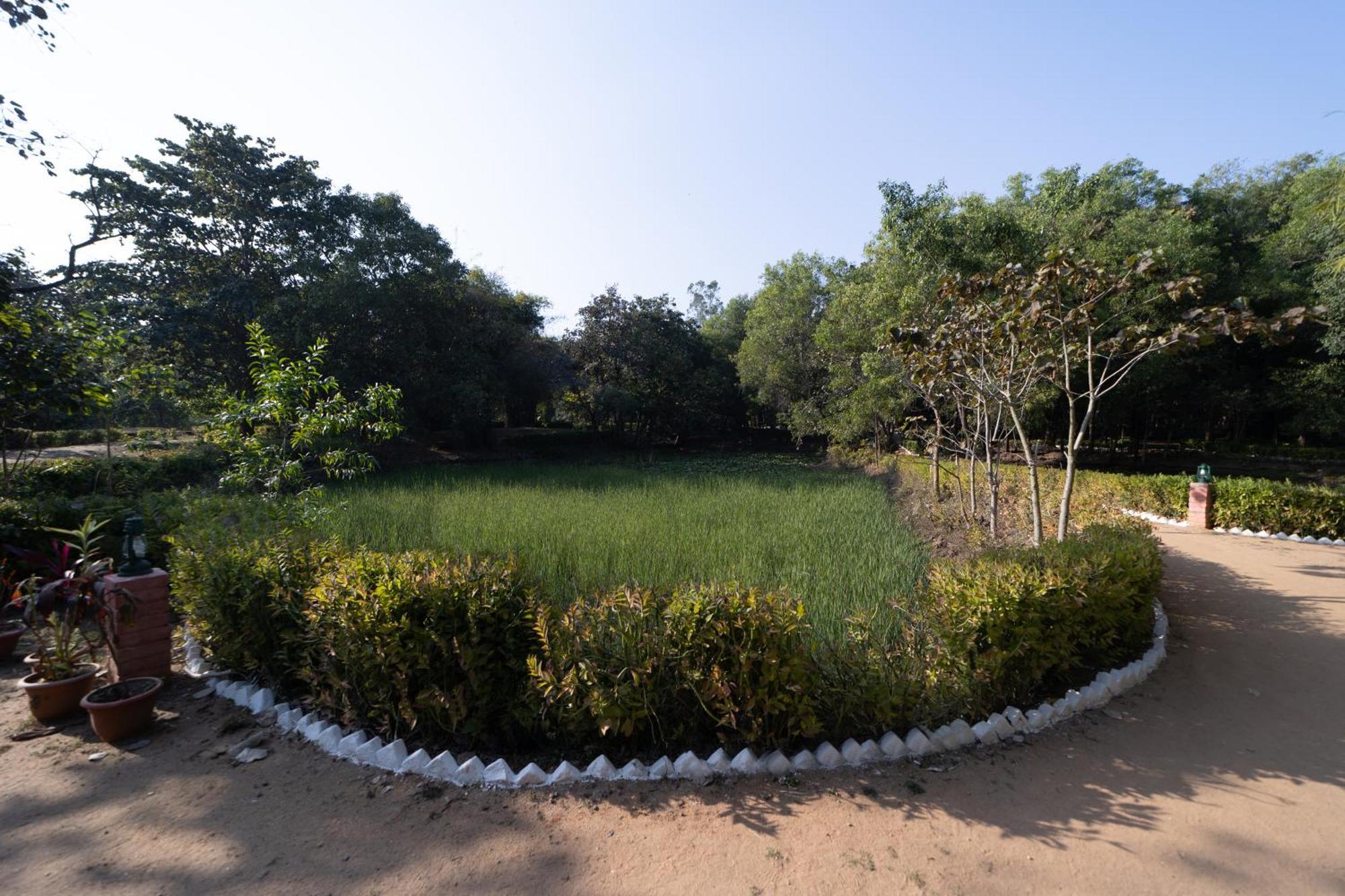 Tāla Tiger Trails Resort מראה חיצוני תמונה